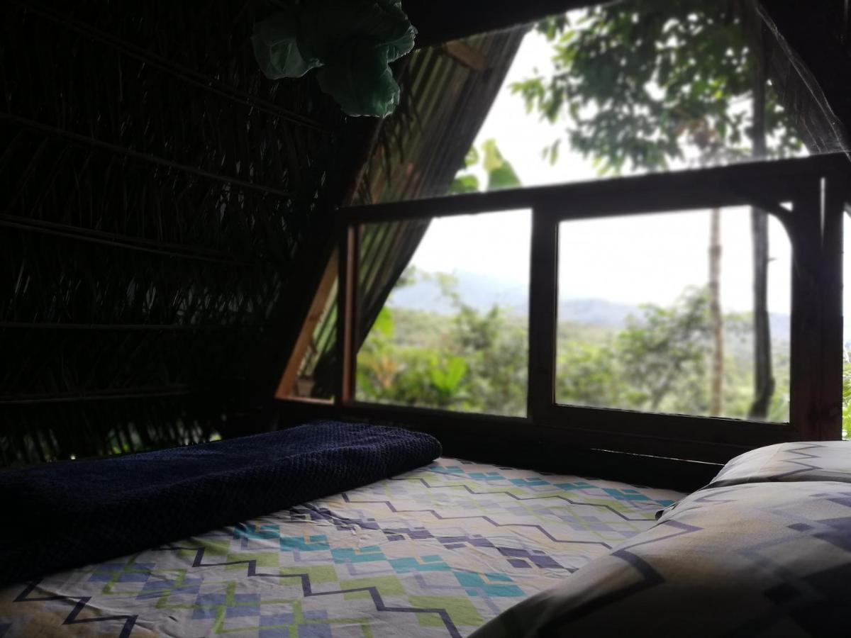 Jungle Roots Hotel Tena Luaran gambar