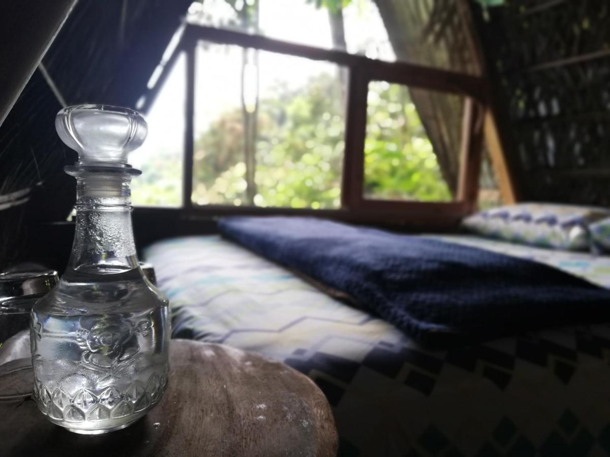 Jungle Roots Hotel Tena Luaran gambar