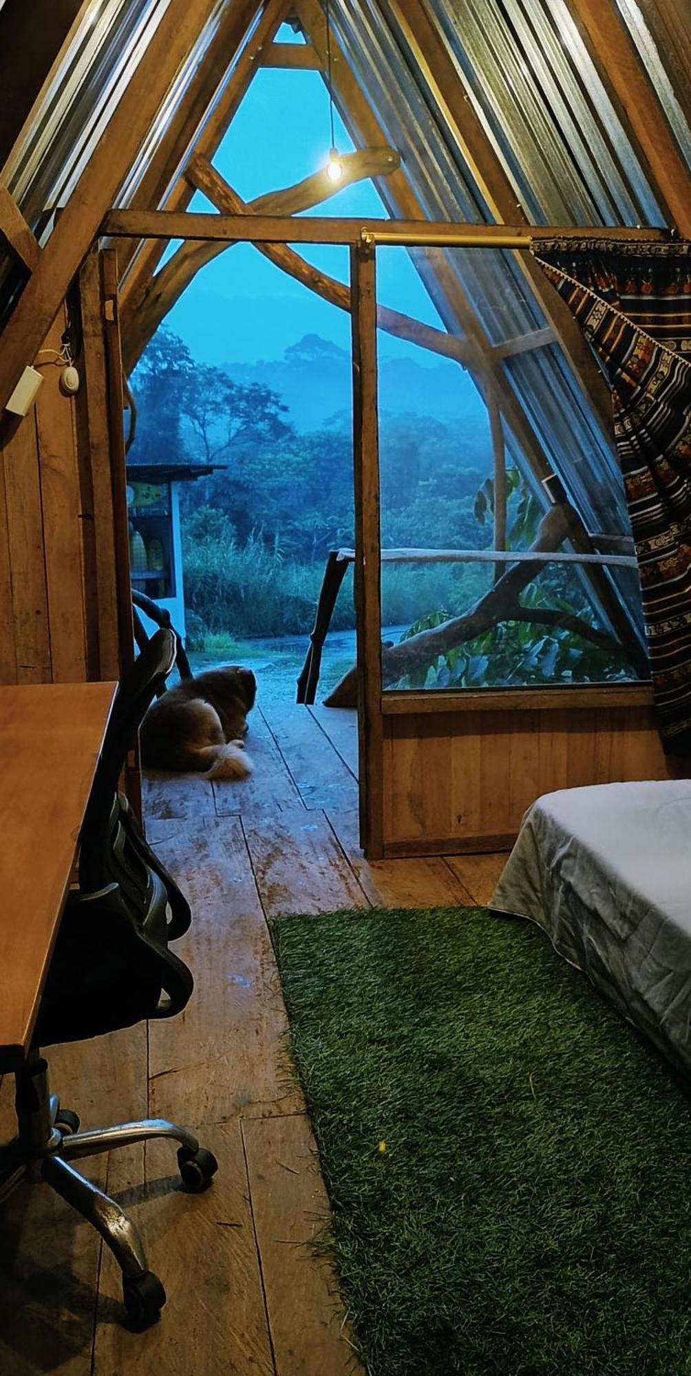 Jungle Roots Hotel Tena Bilik gambar