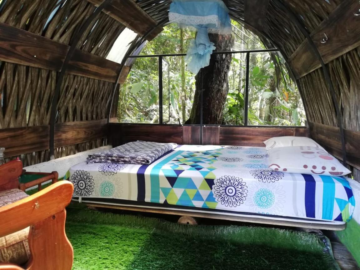 Jungle Roots Hotel Tena Luaran gambar